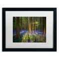 thumbnail image 1 of Trademark Fine Art "Mystical Forest" Canvas Art by Mathieu Rivrin, White Matte, Black Frame, 1 of 1