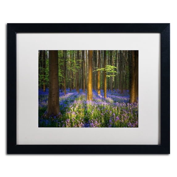 Trademark Fine Art "Mystical Forest" Canvas Art by Mathieu Rivrin, White Matte, Black Frame