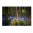 thumbnail image 1 of Trademark Fine Art "Mystical Forest" Canvas Art by Mathieu Rivrin, 1 of 3