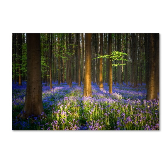 Trademark Fine Art "Mystical Forest" Canvas Art by Mathieu Rivrin