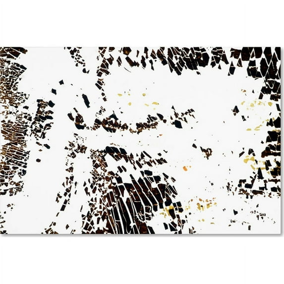 Trademark Fine Art "NA 7 (Take Flight)" Canvas Art by Kika Pierides