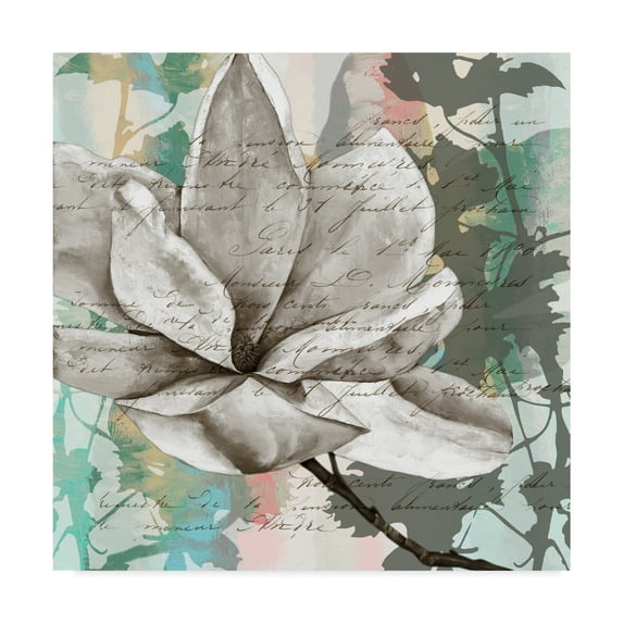 Trademark Fine Art 'NC Pastel Magnolias II' Canvas Art by Jennifer Goldberger