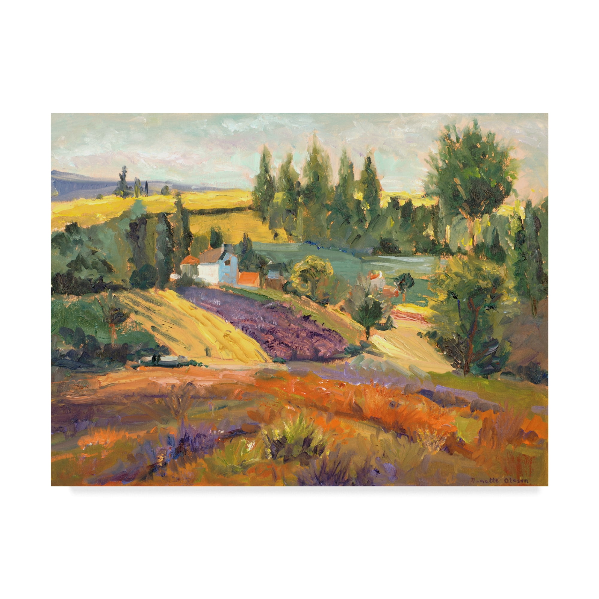 Trademark Fine Art 'NC Vineyard Tapestry II' Canvas Art by Nanette Oleson