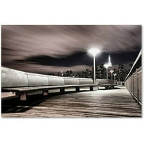 Trademark Fine Art "NYC" Canvas Art by David Ayash