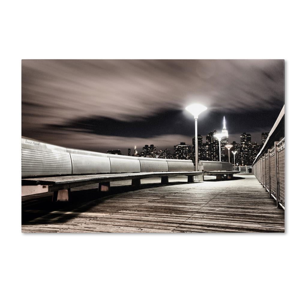 Trademark Fine Art "NYC" Canvas Art by David Ayash
