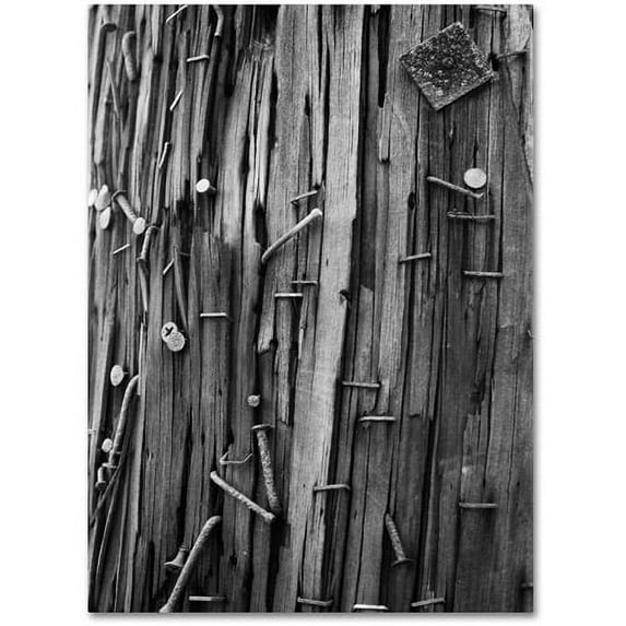 Trademark Fine Art "Nails & Staples" Canvas Wall Art by Patty Tuggle