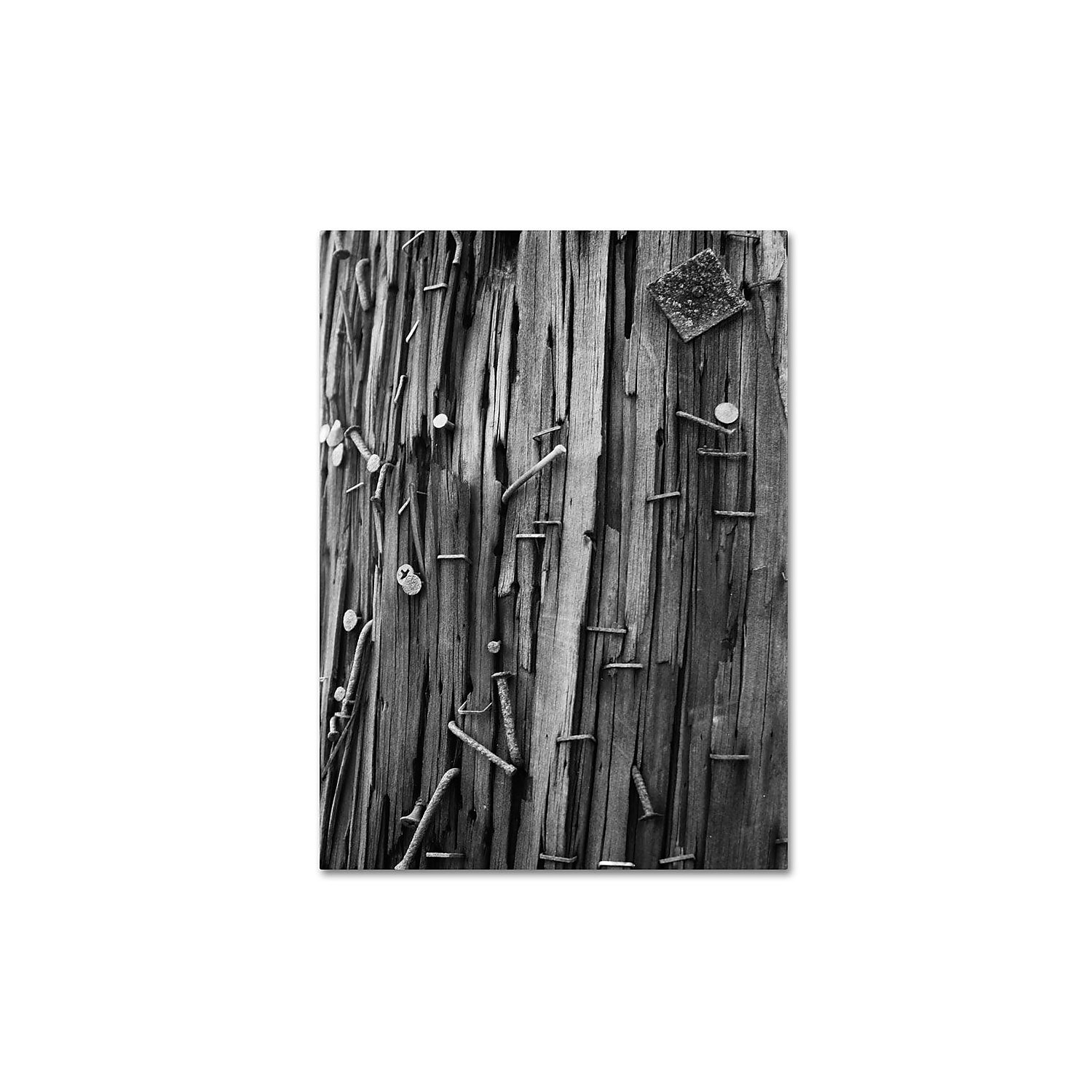 Trademark Fine Art "Nails & Staples" Canvas Wall Art by Patty Tuggle