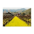thumbnail image 1 of Trademark Fine Art 'Napa Valley In Winter' Canvas Art by Lance Kuehne, 1 of 3