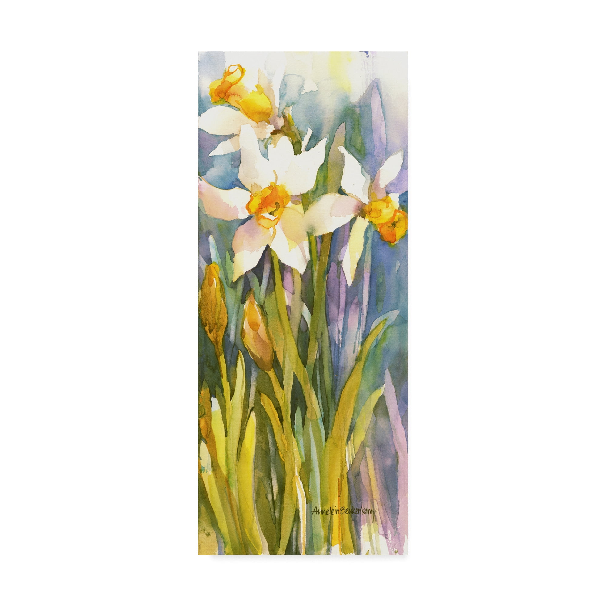 Trademark Fine Art 'Narcissus' Canvas Art by Annelein Beukenkamp