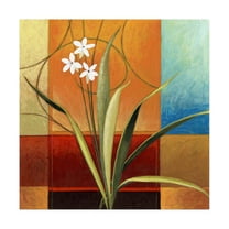 Trademark Fine Art 'Narrow Palm On Patches' Canvas Art by Pablo Esteban
