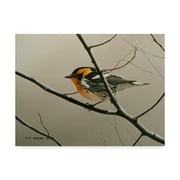 Trademark Fine Art 'Nashville Warbler' Canvas Art by Ron Parker