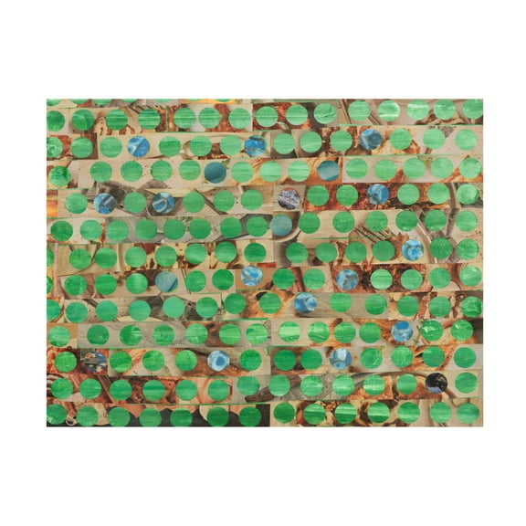 Trademark Fine Art Natalie Avondet Penny Slot II Canvas Wall Art