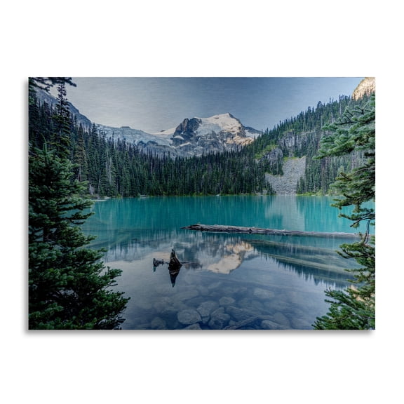 Trademark Fine Art 'Natural Beautiful British Columbia' Brushed Aluminum Wall Art Art by Pierre Leclerc