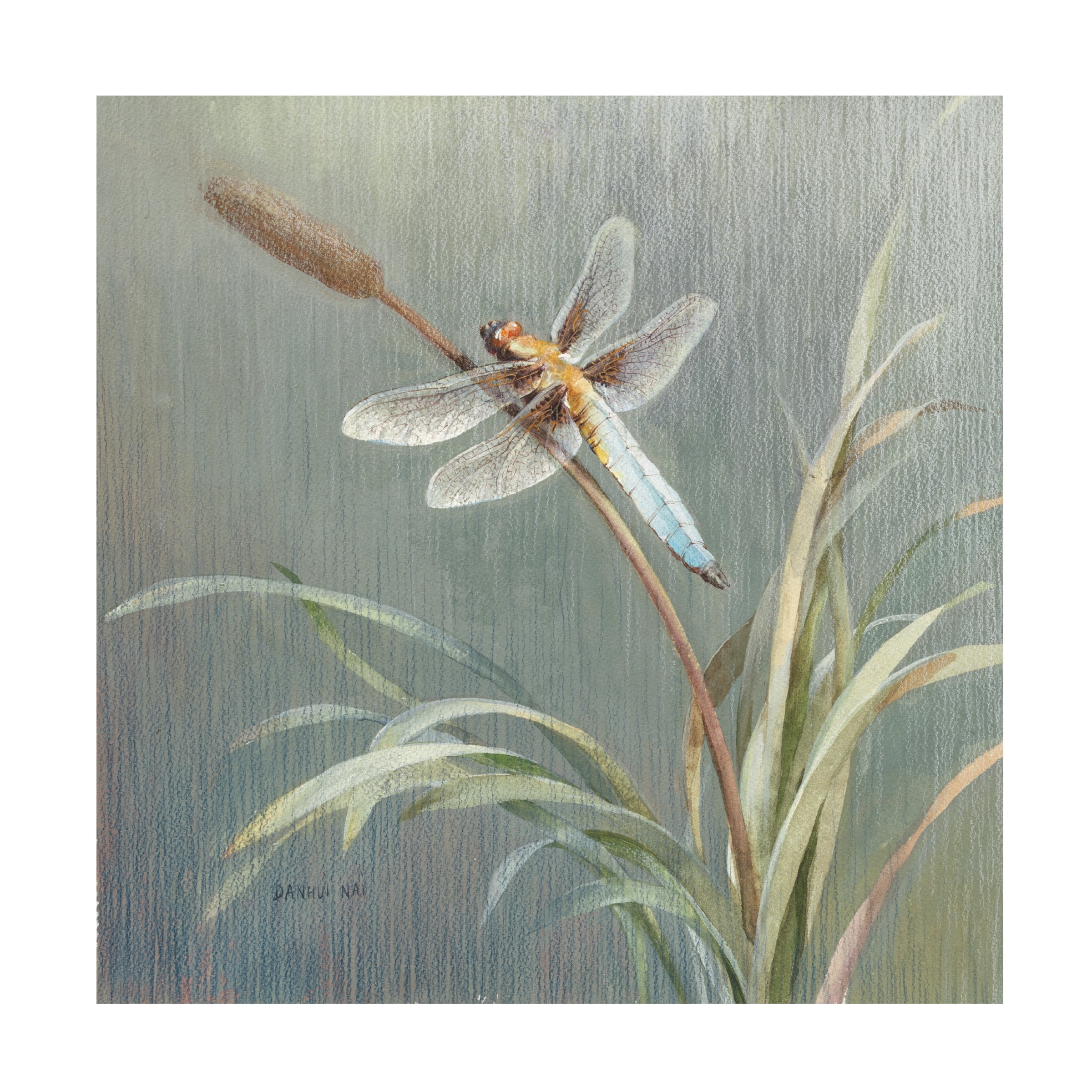 Trademark Fine Art 'Natural Detail IV' Canvas Art by Danhui Nai