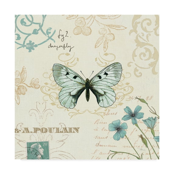 Trademark Fine Art 'Natural Elegance I' Canvas Art by Pela Studio