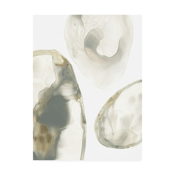 Trademark Fine Art 'Natural Geode III' Canvas Art by June Erica Vess