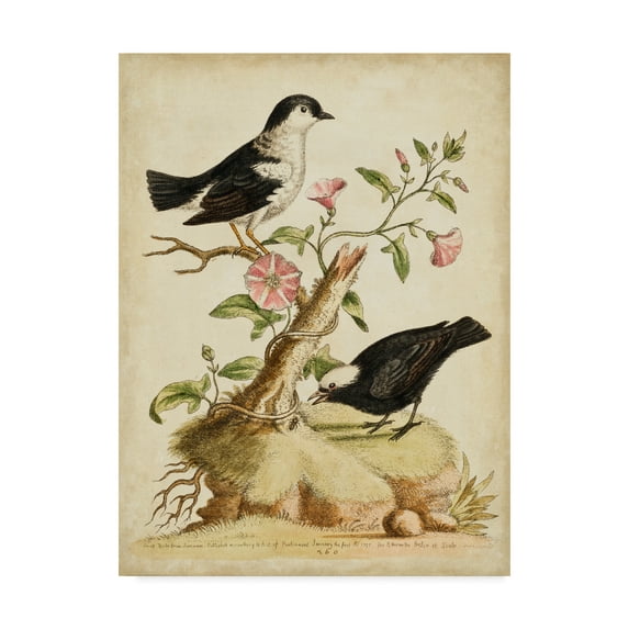 Trademark Fine Art 'Natural Habitat I' Canvas Art by George Edwards