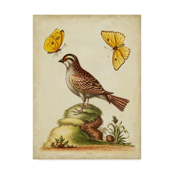 Trademark Fine Art 'Natural Habitat IV' Canvas Art by George Edwards