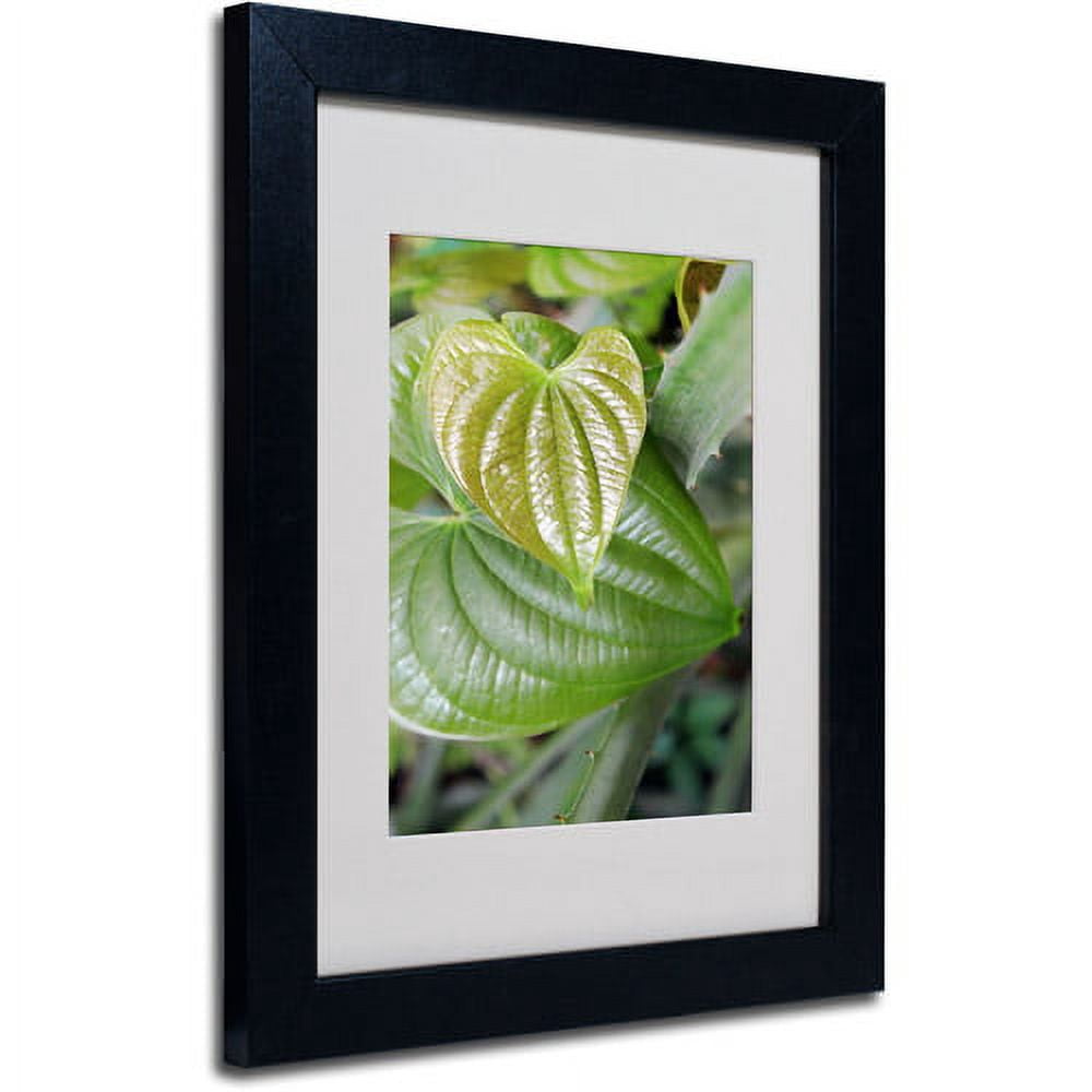 Trademark Fine Art "Natural Hearts" Matted Framed Art by Patty Tuggle, Black Frame