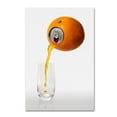 thumbnail image 1 of Trademark Fine Art 'Natural Refreshment' Canvas Art by Jesus M. Garcia, 1 of 3