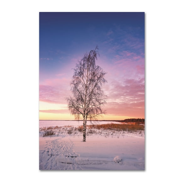 Trademark Fine Art 'Nature Breath' Canvas Art by Philippe Sainte-Laudy