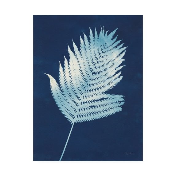 Trademark Fine Art 'Nature By The Lake - Ferns III' Canvas Art by Piper Rhue