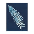 thumbnail image 1 of Trademark Fine Art 'Nature By The Lake - Ferns IV' Canvas Art by Piper Rhue, 1 of 3