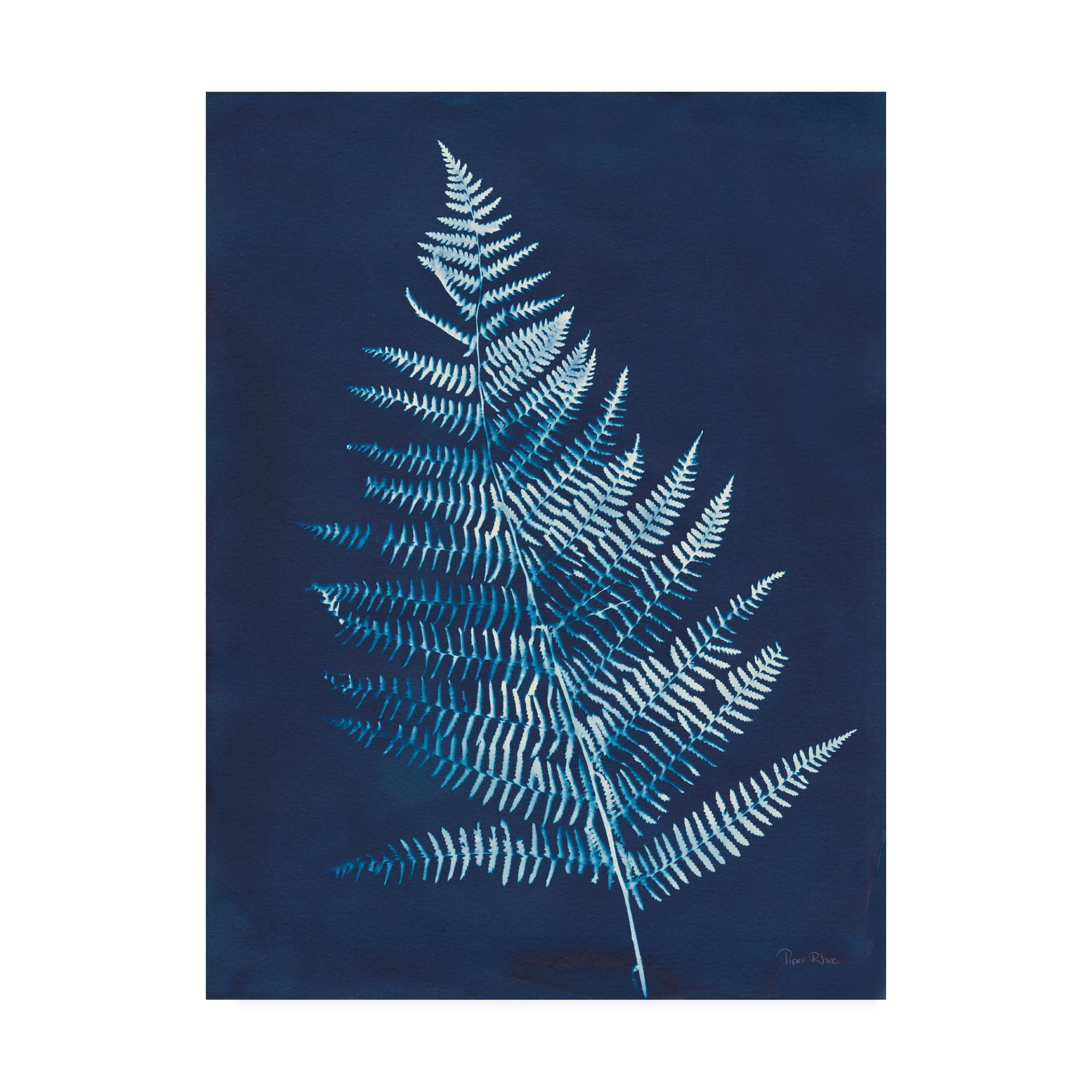 Trademark Fine Art 'Nature By The Lake - Ferns VI' Canvas Art by Piper Rhue