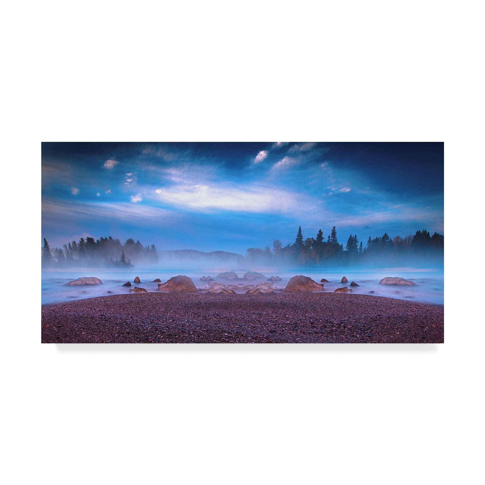 Trademark Fine Art 'Nature Collection 10' Canvas Art by Ata Alishahi