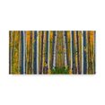 thumbnail image 1 of Trademark Fine Art 'Nature Collection 21' Canvas Art by Ata Alishahi, 1 of 3