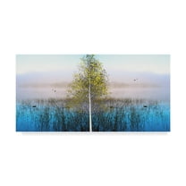 Trademark Fine Art 'Nature Collection 23' Canvas Art by Ata Alishahi