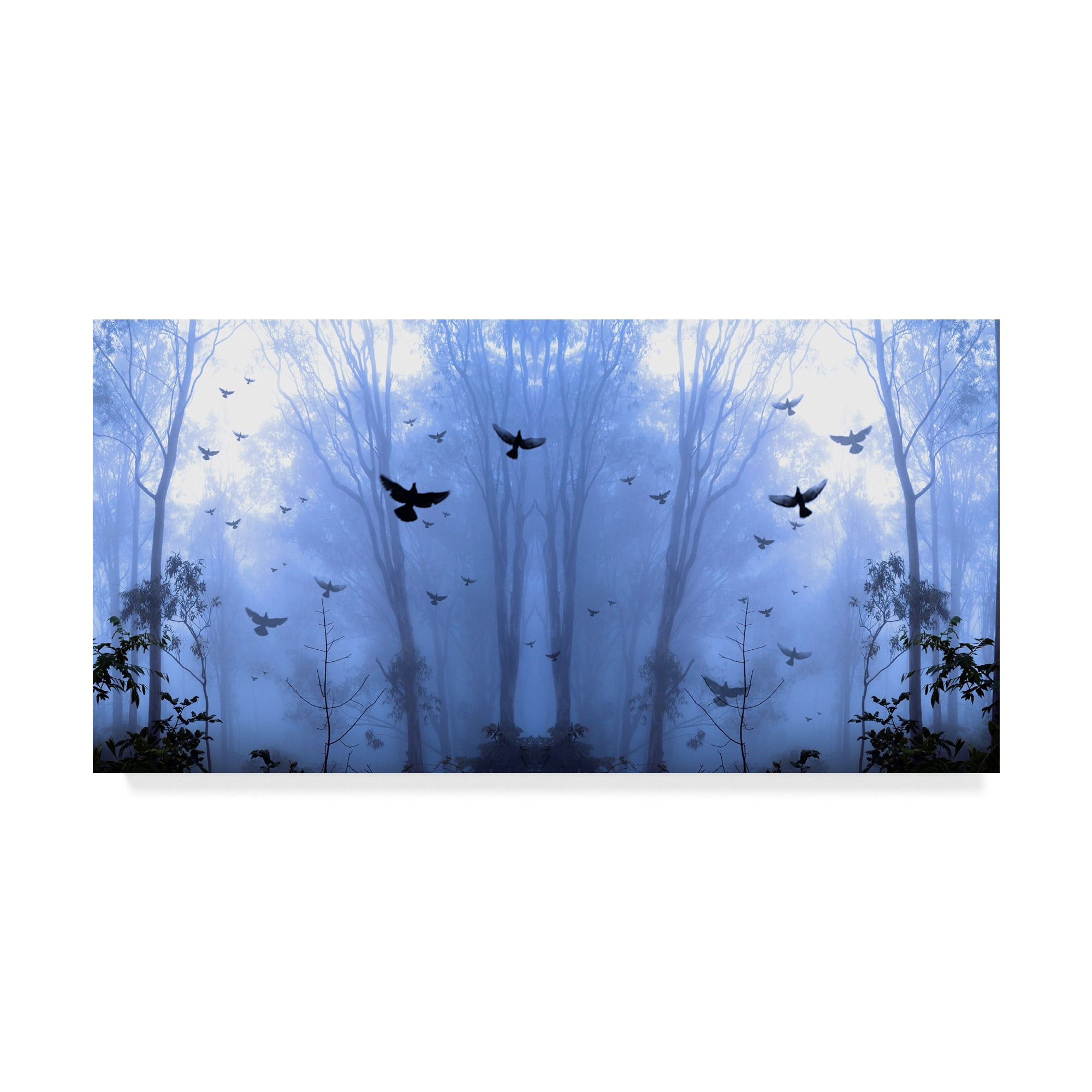 Trademark Fine Art 'Nature Collection 27' Canvas Art by Ata Alishahi