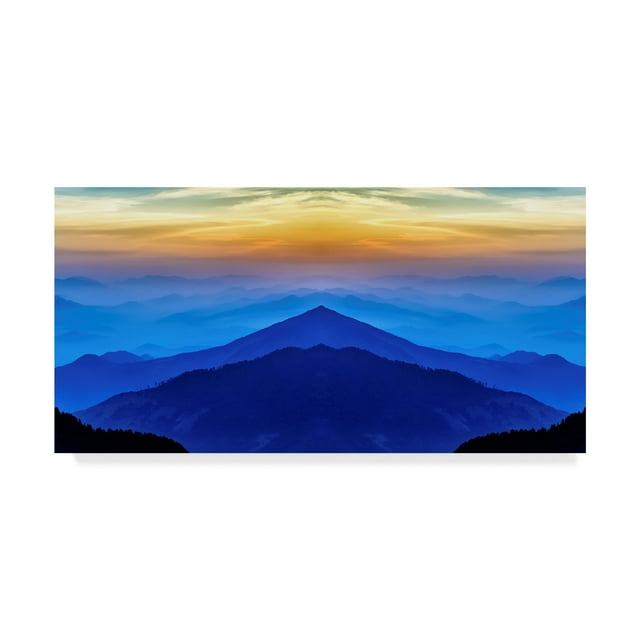 Trademark Fine Art 'Nature Collection 28' Canvas Art by Ata Alishahi