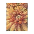 thumbnail image 1 of Trademark Fine Art 'Nature Delight II' Canvas Art by Danhui Nai, 1 of 3