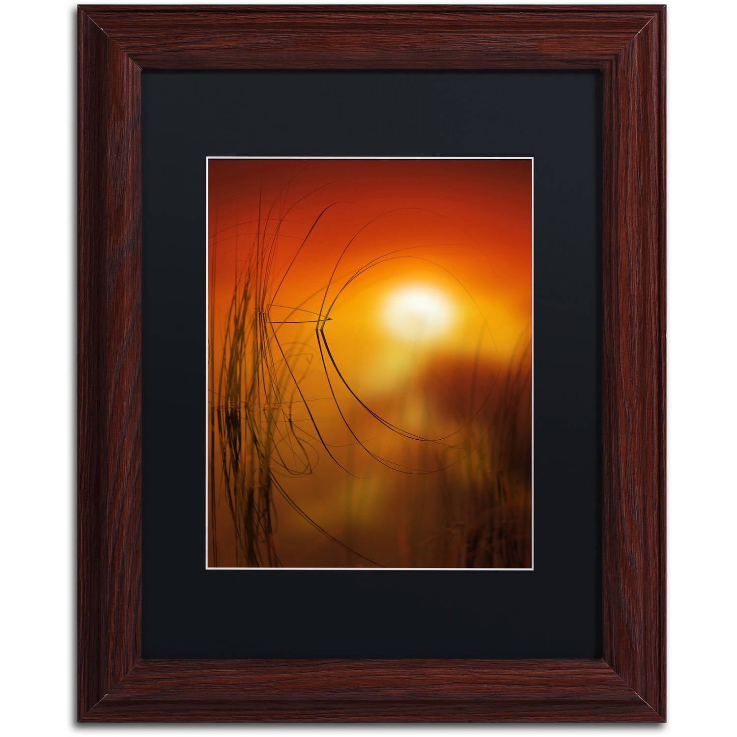 Trademark Fine Art "Nature Time Machine" Canvas Art by Philippe Sainte-Laudy Black Matte, Wood Frame