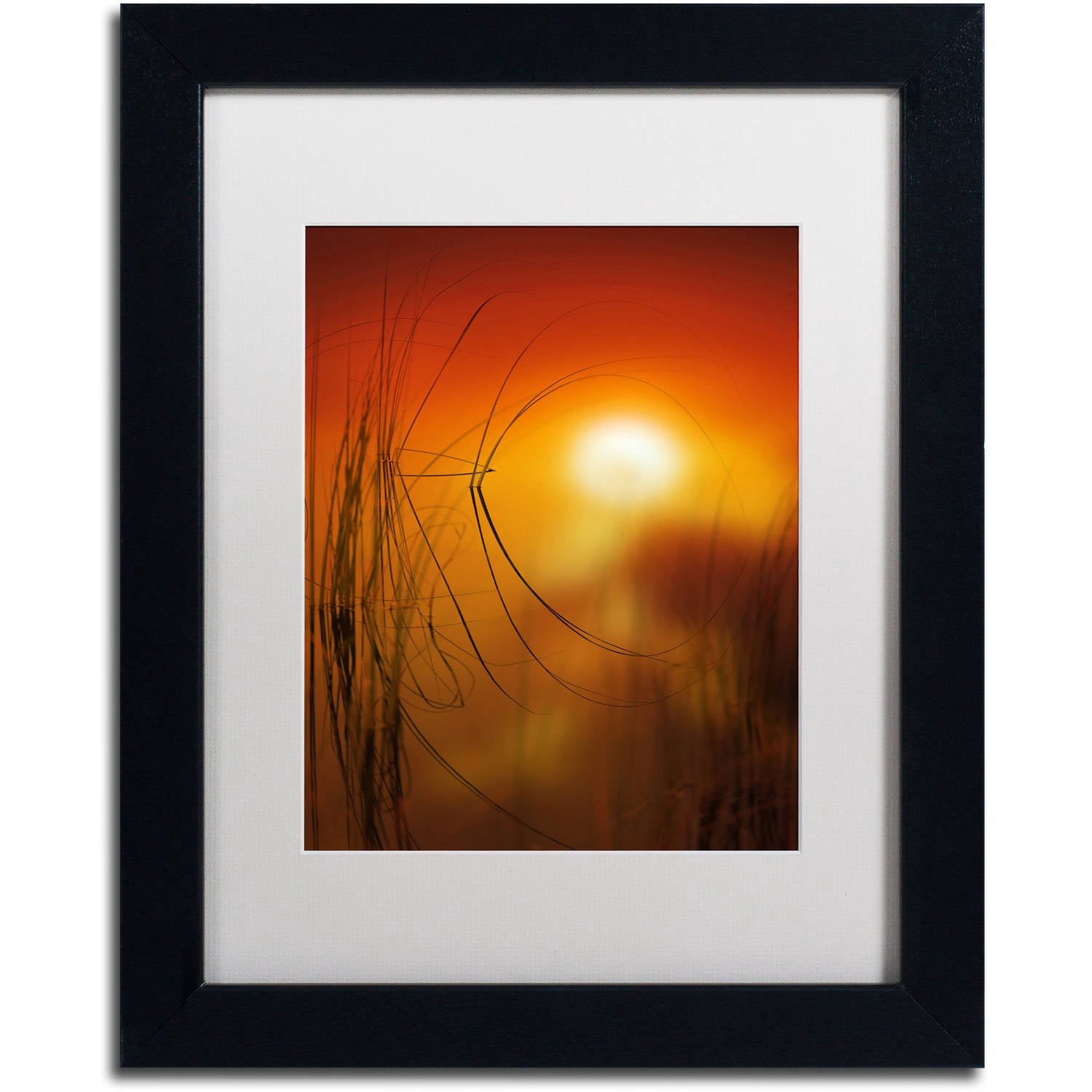 Trademark Fine Art "Nature Time Machine" Canvas Art by Philippe Sainte-Laudy White Matte, Black Frame
