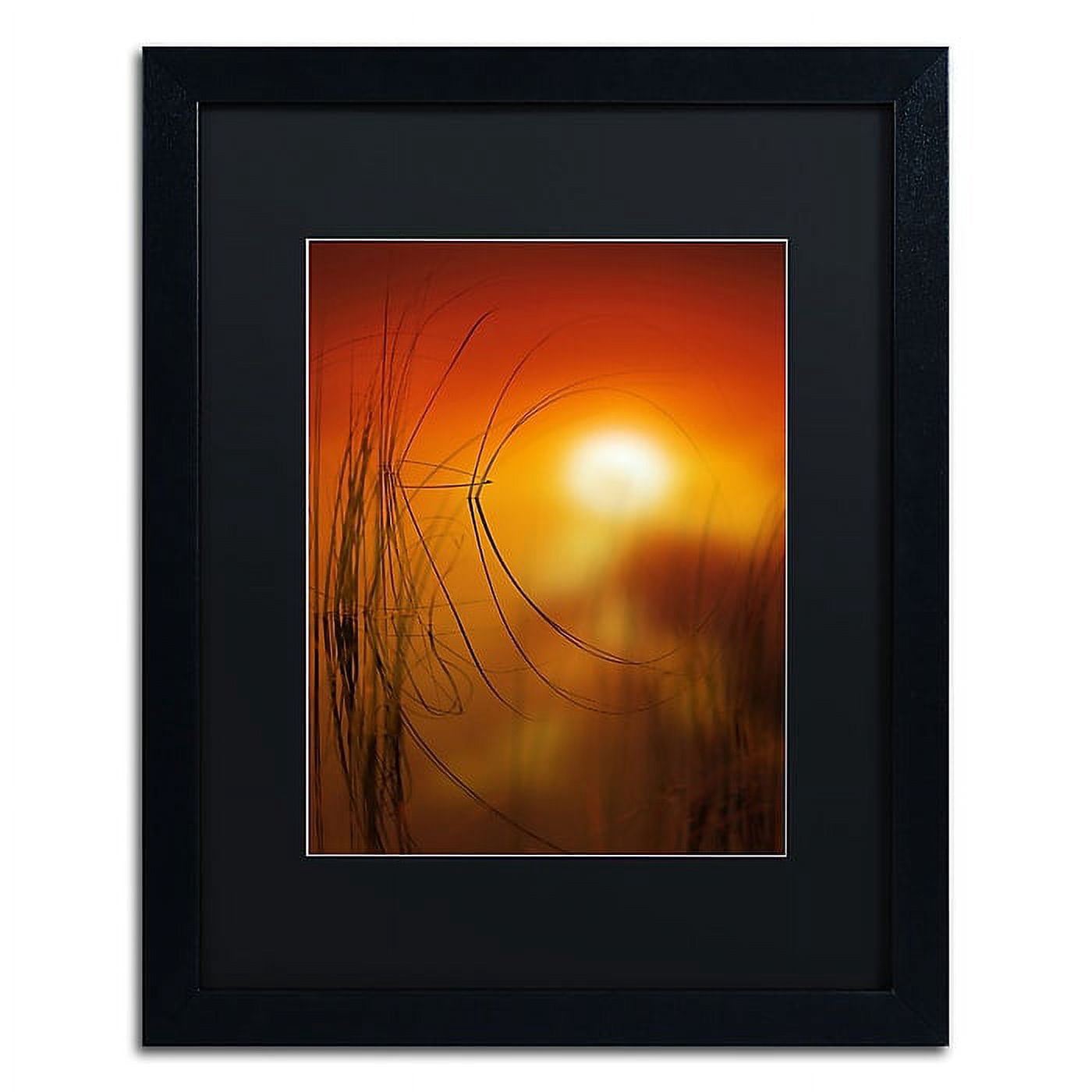 Trademark Fine Art ''Nature Time Machine'' by Philippe Sainte-Laudy 16" x 20" Black Matted Black Frame (886511797888)