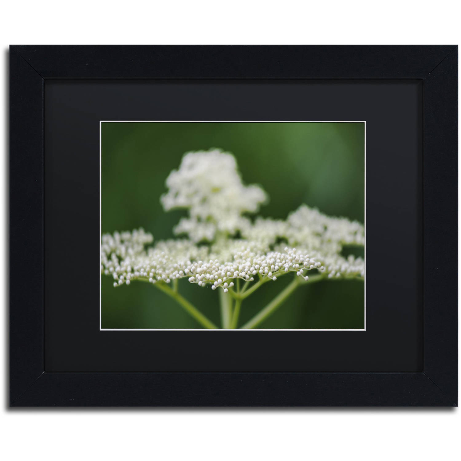 Trademark Fine Art "Nature is Amazing" Canvas Art by Kurt Shaffer, Black Matte, Black Frame