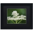 thumbnail image 1 of Trademark Fine Art "Nature is Amazing" Canvas Art by Kurt Shaffer, Black Matte, Black Frame, 1 of 1