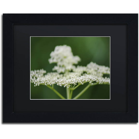 Trademark Fine Art "Nature is Amazing" Canvas Art by Kurt Shaffer, Black Matte, Black Frame