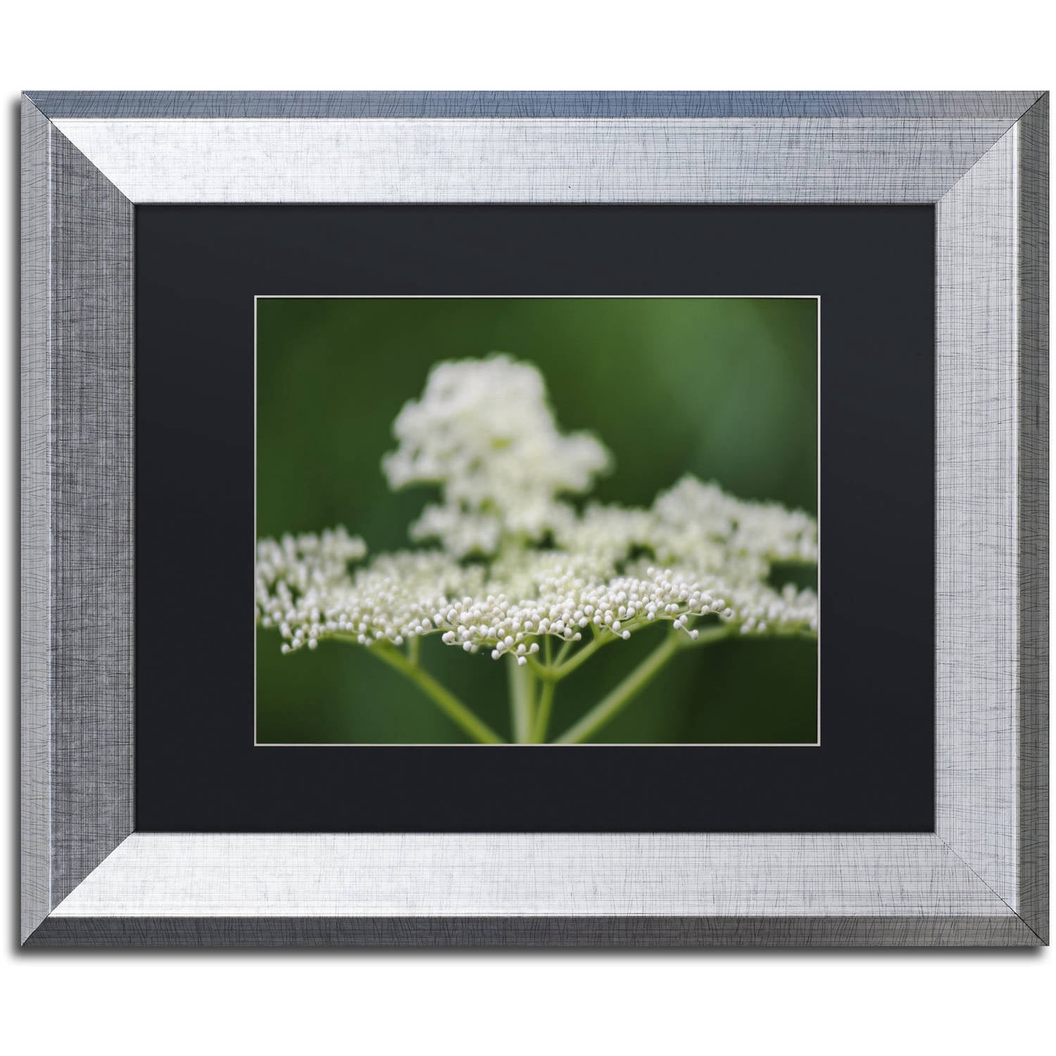 Trademark Fine Art "Nature is Amazing" Canvas Art by Kurt Shaffer, Black Matte, Silver Frame