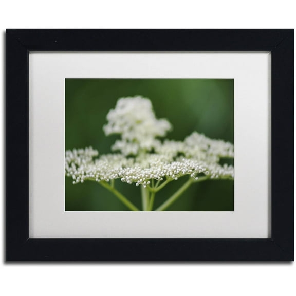 Trademark Fine Art "Nature is Amazing" Canvas Art by Kurt Shaffer, White Matte, Black Frame