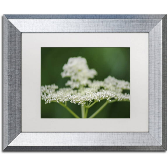 Trademark Fine Art "Nature is Amazing" Canvas Art by Kurt Shaffer, White Matte, Silver Frame