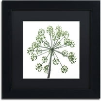 Trademark Fine Art "Nature's Amazing Wonder" Canvas Art by Kurt Shaffer, Black Matte, Black Frame