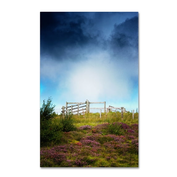 Trademark Fine Art "Nature's Blanket" Canvas Art by Philippe Sainte-Laudy