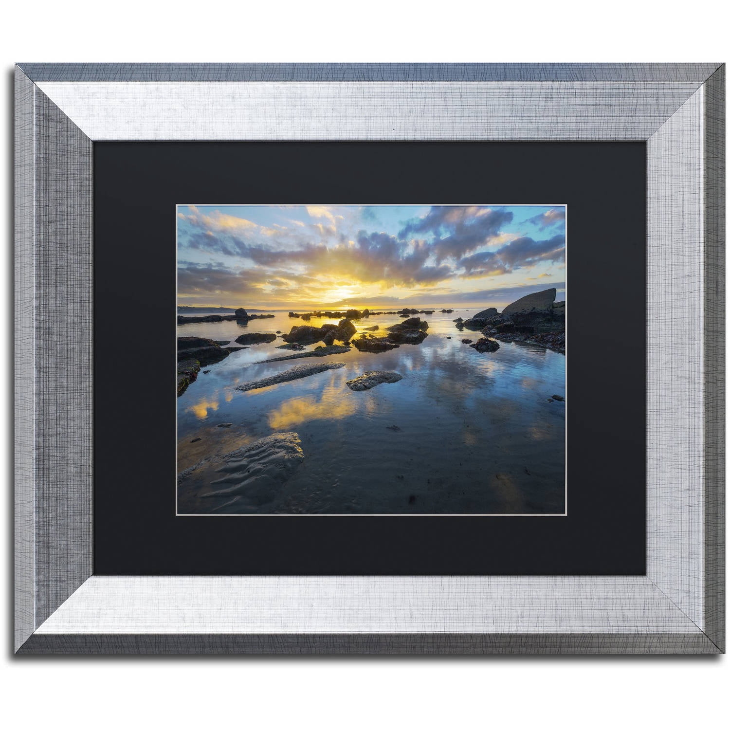 Trademark Fine Art "Nature's Gift" Canvas Art by Mathieu Rivrin, Black Matte, Silver Frame