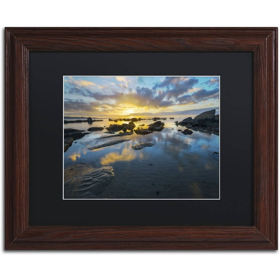 Trademark Fine Art "Nature's Gift" Canvas Art by Mathieu Rivrin, Black Matte, Wood Frame