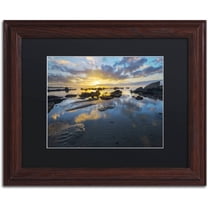 Trademark Fine Art "Nature's Gift" Canvas Art by Mathieu Rivrin, Black Matte, Wood Frame