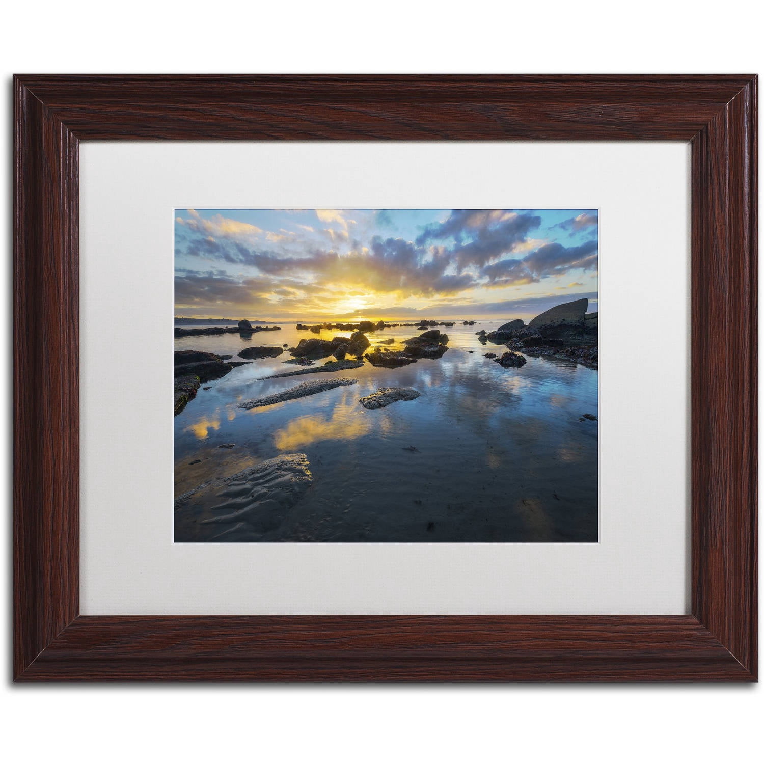 Trademark Fine Art "Nature's Gift" Canvas Art by Mathieu Rivrin, White Matte, Wood Frame