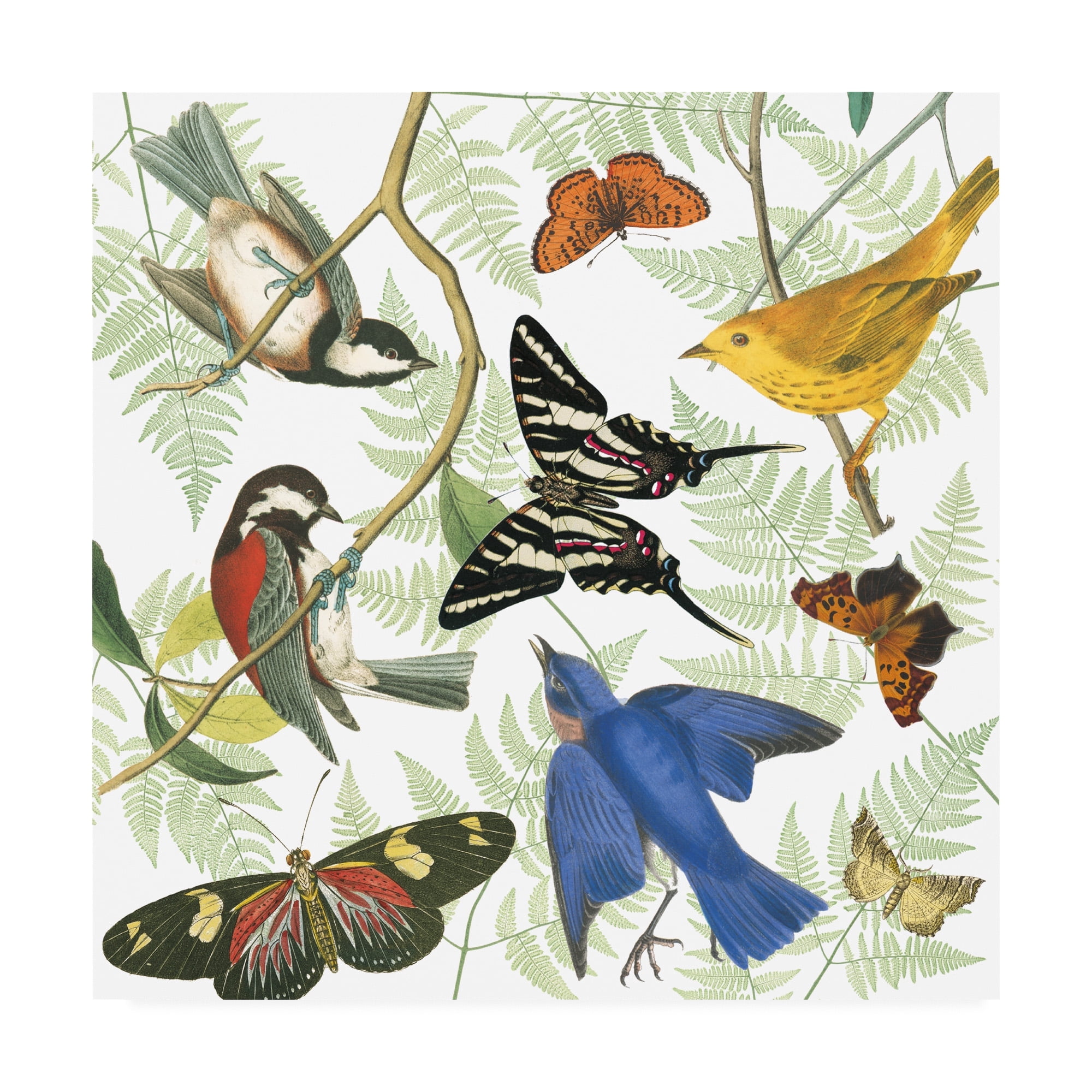 Trademark Fine Art 'Natures Flight II' Canvas Art by Wild Apple Portfolio